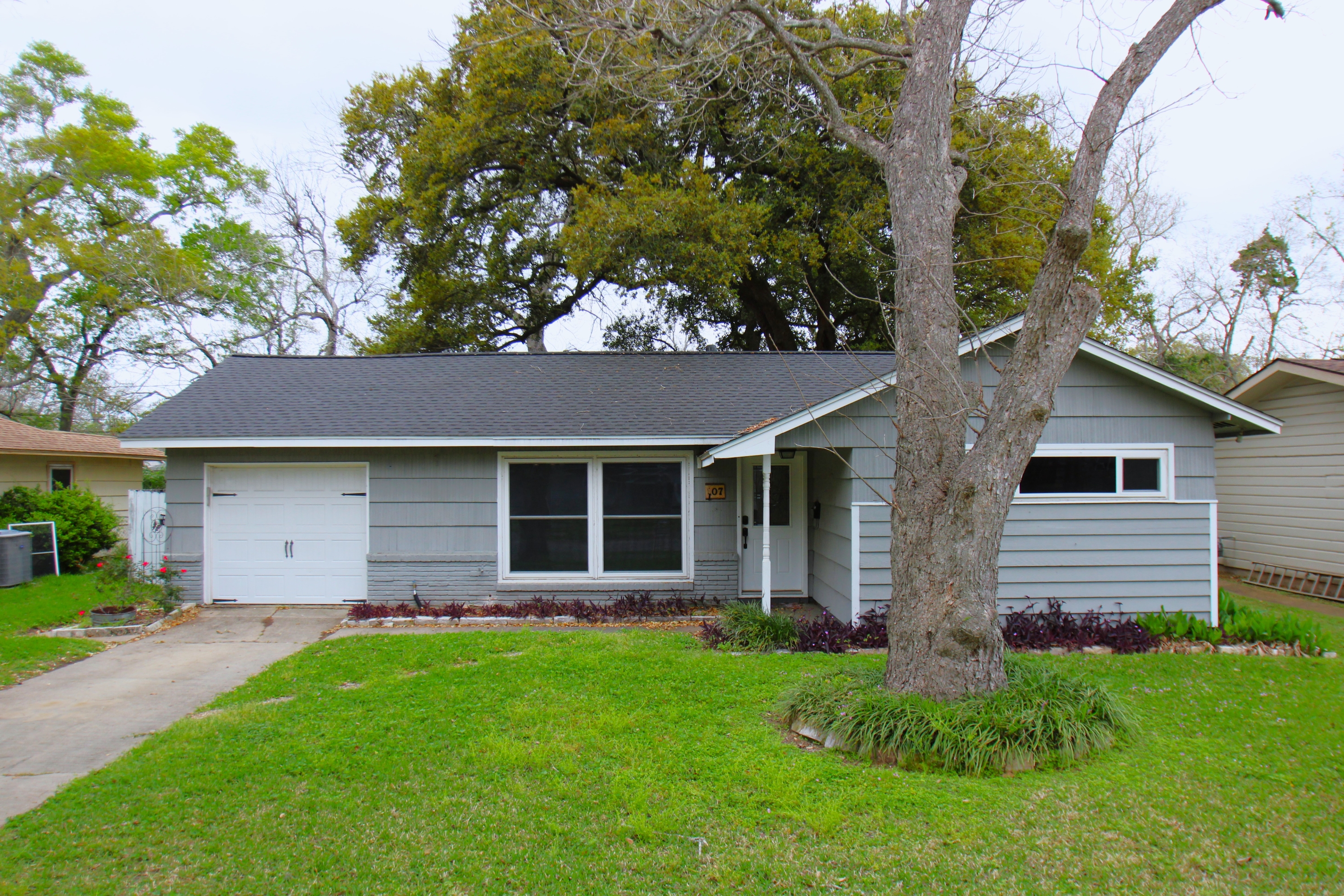 107 Palm Lane