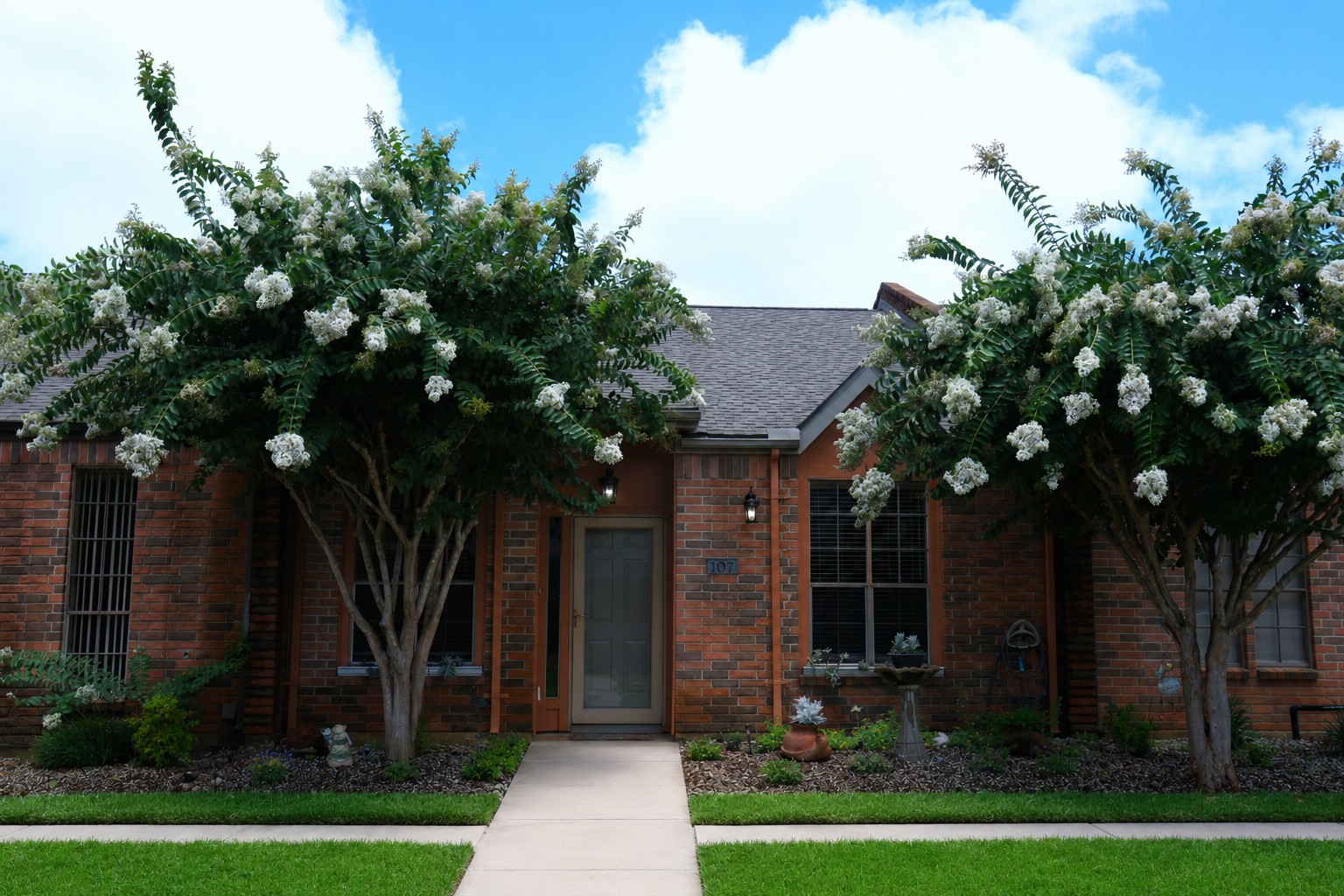 107 Manor Place TX - 1